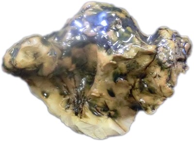 県立岡崎支援学校 在校生作品-147