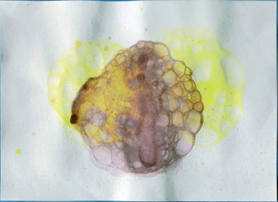 県立岡崎支援学校 在校生作品-30