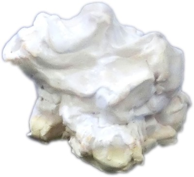 県立岡崎支援学校 在校生作品-146