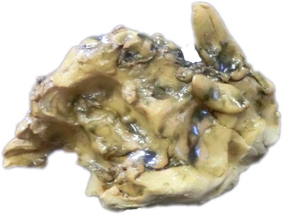 県立岡崎支援学校 在校生作品-144